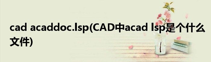 cad acaddoc.lsp(CAD中acad lsp是个什么文件)