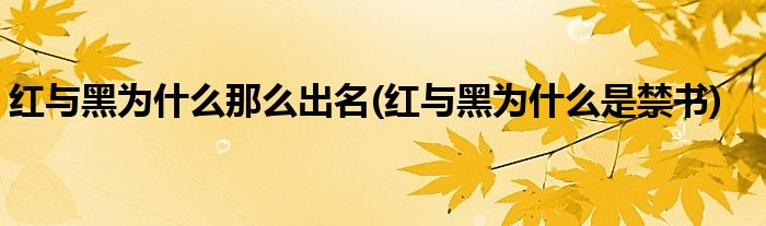 红与黑为什么那么出名(红与黑为什么是禁书)