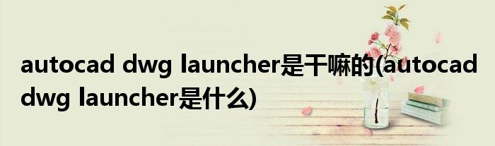 autocad dwg launcher是干嘛的(autocad dwg launcher是什么)