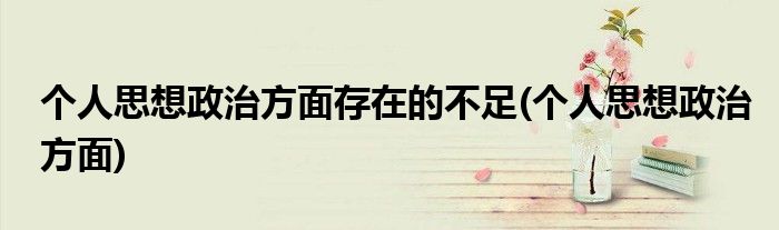 个人思想政治方面存在的不足(个人思想政治方面)