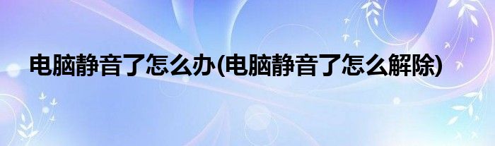 电脑静音了怎么办(电脑静音了怎么解除)