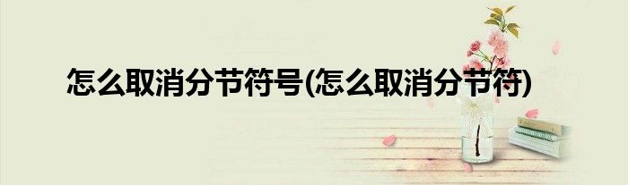 怎么取消分节符号(怎么取消分节符)