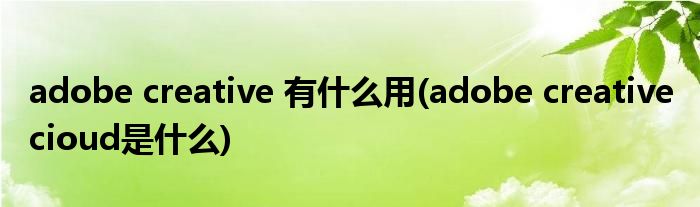 adobe creative 有什么用(adobe creative cioud是什么)