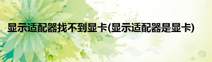 显示适配器找不到显卡(显示适配器是显卡)