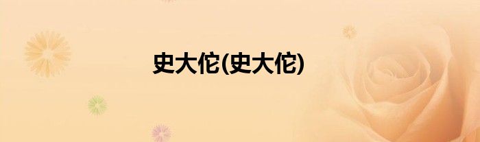 史大佗(史大佗)