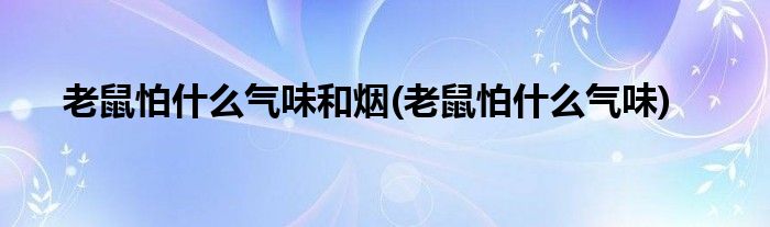 老鼠怕什么气味和烟(老鼠怕什么气味)