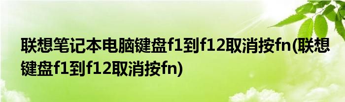 联想笔记本电脑键盘f1到f12取消按fn(联想键盘f1到f12取消按fn)
