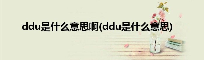 ddu是什么意思啊(ddu是什么意思)