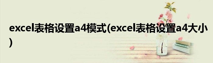 excel表格设置a4模式(excel表格设置a4大小)