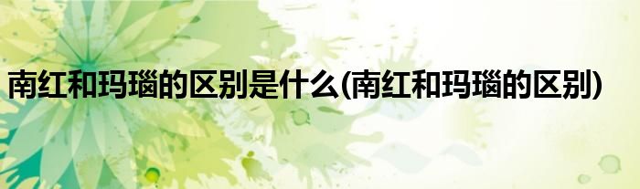 南红和玛瑙的区别是什么(南红和玛瑙的区别)