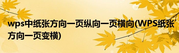 wps中纸张方向一页纵向一页横向(WPS纸张方向一页变横)