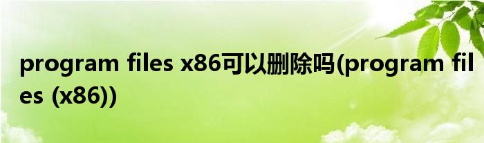 program files x86可以删除吗(program files (x86))
