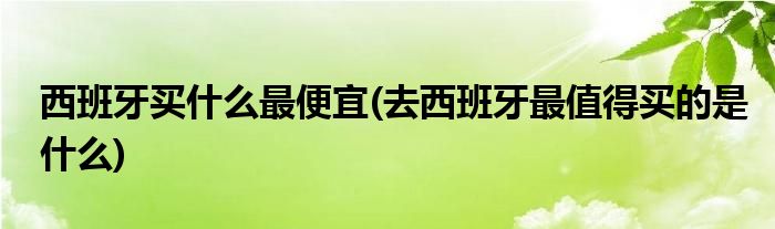 西班牙买什么最便宜(去西班牙最值得买的是什么)