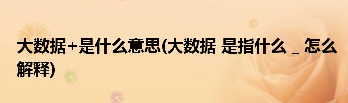 大数据+是什么意思(大数据 是指什么 _ 怎么解释)