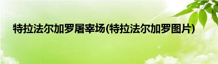 特拉法尔加罗屠宰场(特拉法尔加罗图片)