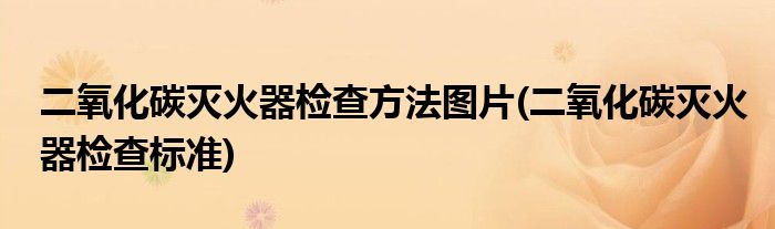 二氧化碳灭火器检查方法图片(二氧化碳灭火器检查标准)