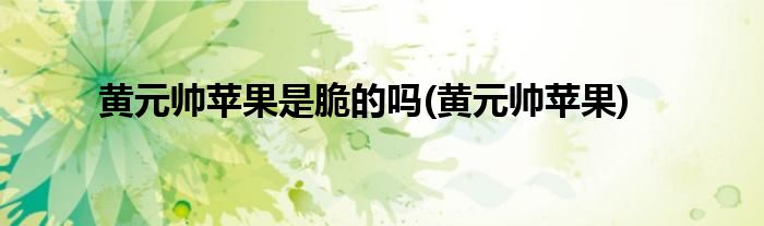 黄元帅苹果是脆的吗(黄元帅苹果)