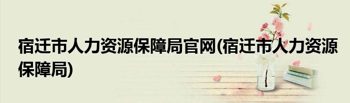 宿迁市人力资源保障局官网(宿迁市人力资源保障局)