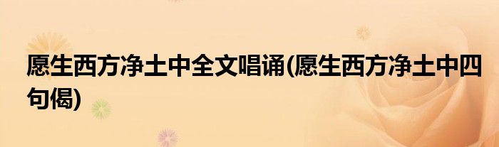愿生西方净土中全文唱诵(愿生西方净土中四句偈)