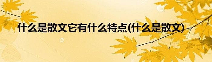 998su网友科普：什么是散文及其文学魅力解析