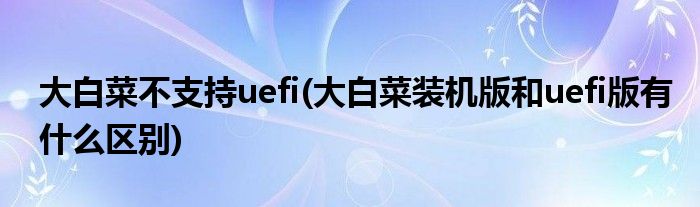 大白菜不支持uefi(大白菜装机版和uefi版有什么区别)
