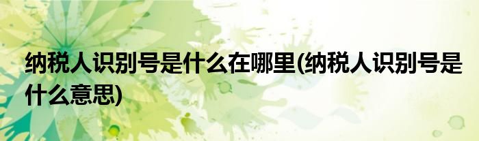 纳税人识别号是什么在哪里(纳税人识别号是什么意思)