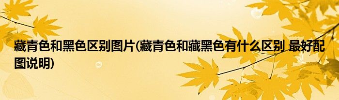 藏青色和黑色区别图片(藏青色和藏黑色有什么区别 最好配图说明)