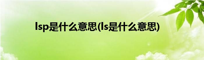 lsp是什么意思(ls是什么意思)