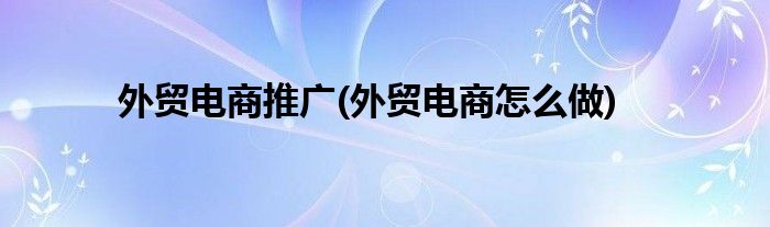 外贸电商推广(外贸电商怎么做)