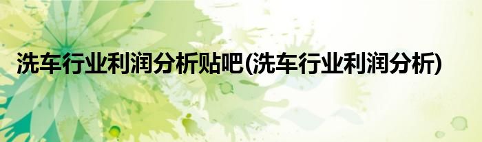 洗车行业利润分析贴吧(洗车行业利润分析)