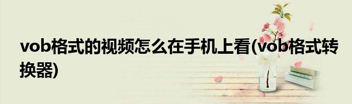 vob格式的视频怎么在手机上看(vob格式转换器)