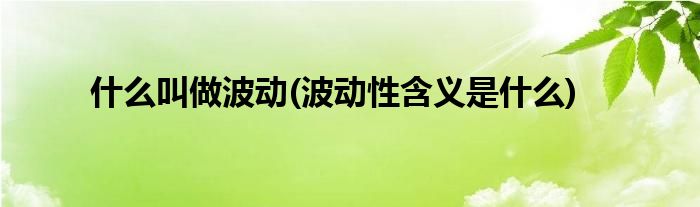 什么叫做波动(波动性含义是什么)
