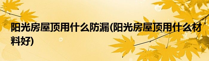 阳光房屋顶用什么防漏(阳光房屋顶用什么材料好)