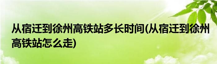 从宿迁到徐州高铁站多长时间(从宿迁到徐州高铁站怎么走)