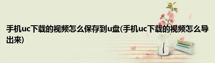 手机uc下载的视频怎么保存到u盘(手机uc下载的视频怎么导出来)