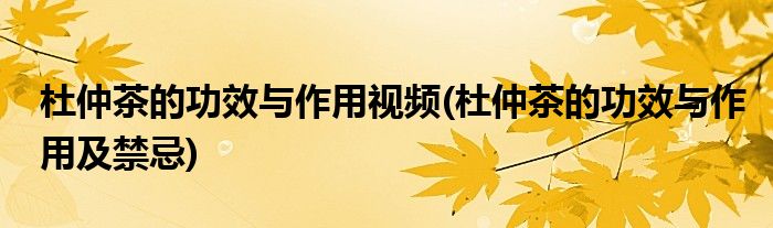 杜仲茶的功效与作用视频(杜仲茶的功效与作用及禁忌)