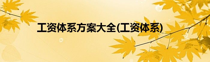 工资体系方案大全(工资体系)