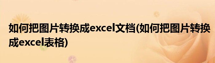 如何把图片转换成excel文档(如何把图片转换成excel表格)