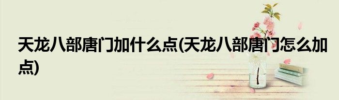 天龙八部唐门加什么点(天龙八部唐门怎么加点)