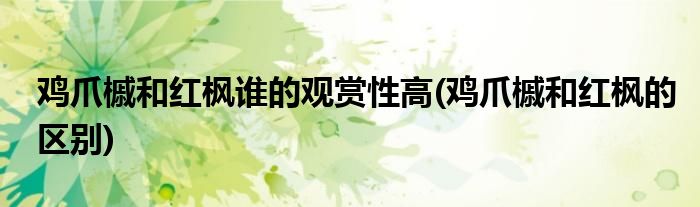 鸡爪槭和红枫谁的观赏性高(鸡爪槭和红枫的区别)