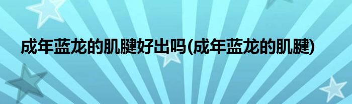 成年蓝龙的肌腱好出吗(成年蓝龙的肌腱)