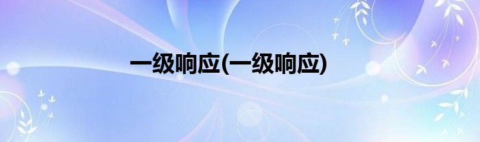 一级响应(一级响应)