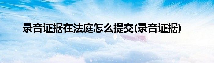 录音证据在法庭怎么提交(录音证据)