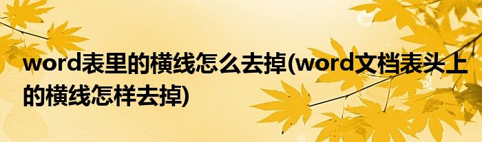 word表里的横线怎么去掉(word文档表头上的横线怎样去掉)