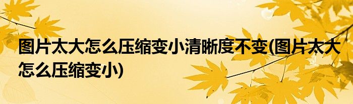 图片太大怎么压缩变小清晰度不变(图片太大怎么压缩变小)