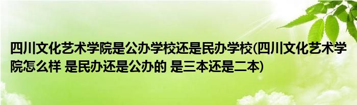 四川文化艺术学院是公办学校还是民办学校(四川文化艺术学院怎么样 是民办还是公办的 是三本还是二本)