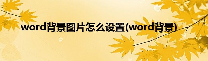 word背景图片怎么设置(word背景)
