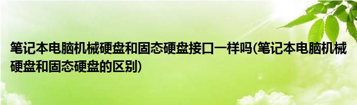 笔记本电脑机械硬盘和固态硬盘接口一样吗(笔记本电脑机械硬盘和固态硬盘的区别)