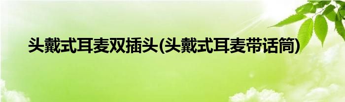 头戴式耳麦双插头(头戴式耳麦带话筒)