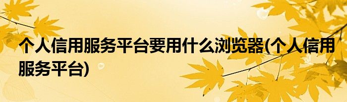 个人信用服务平台要用什么浏览器(个人信用服务平台)